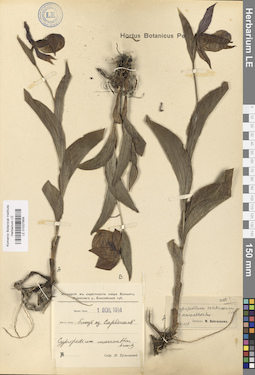 LE 01027958