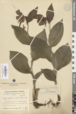 LE 01027968