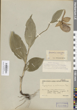 LE 01027970