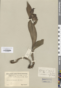 LE 01027972