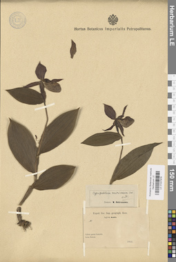 LE 01027978
