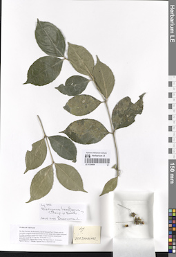 LE 01254004