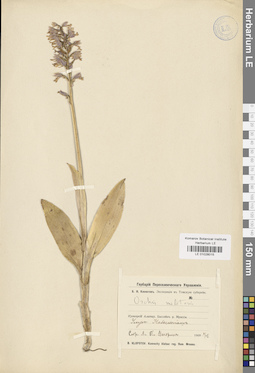 LE 01028015