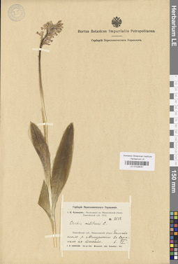 LE 01028057