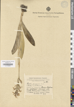 LE 01028063