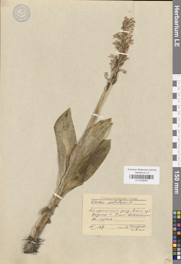 LE 01028067