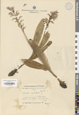 LE 01028070