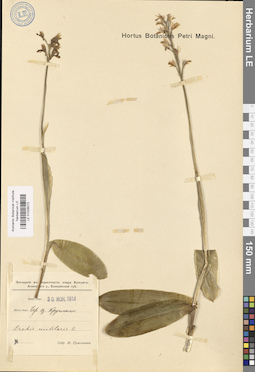 LE 01028072