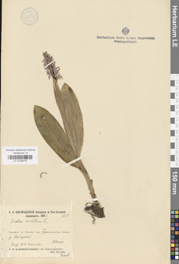 LE 01028075
