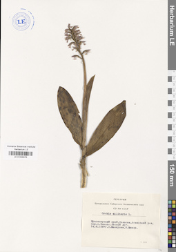 LE 01028076