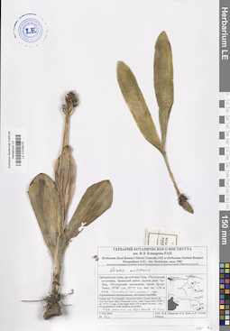 LE 01028078