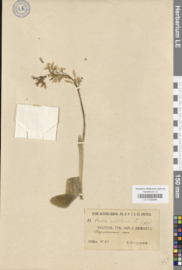LE 01028084