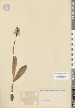 LE 01028088
