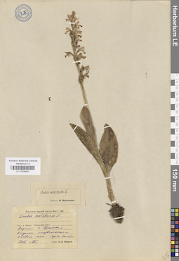 LE 01028091