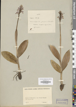 LE 01028092