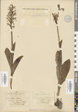 LE 01028103