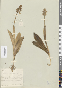 LE 01028106