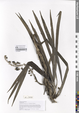 LE 01254220