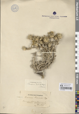 LE 01273024