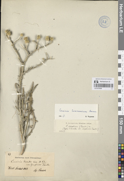 LE 01273030