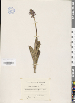 LE 01028152