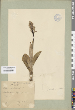 LE 01028156