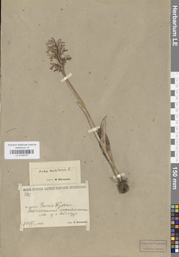 LE 01028157