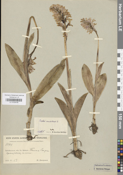 LE 01028159