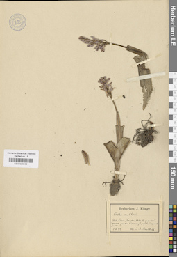 LE 01028162