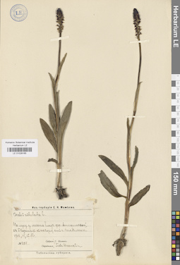 LE 01028165