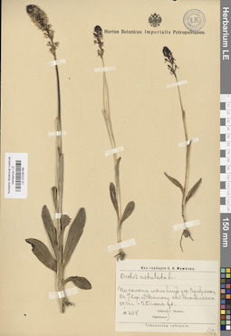 LE 01028166