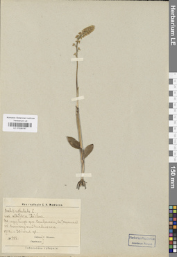LE 01028167