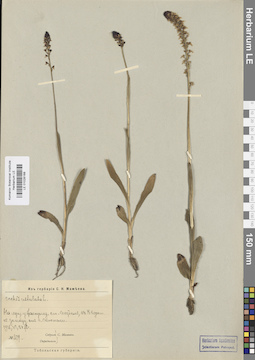LE 01028168