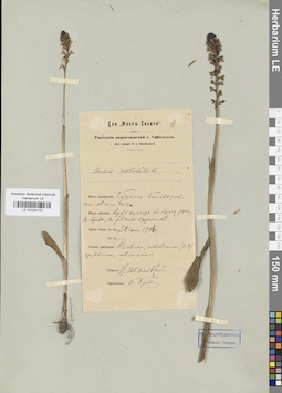 LE 01028170