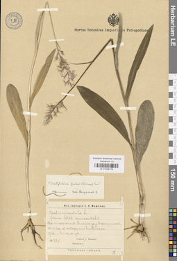 LE 01028178
