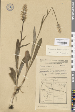 LE 01028179