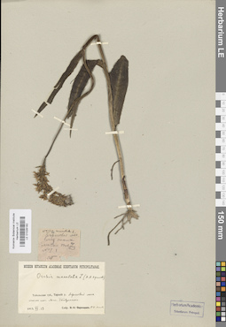 LE 01028182
