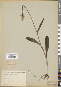 LE 01028184