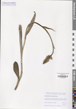 LE 01028185