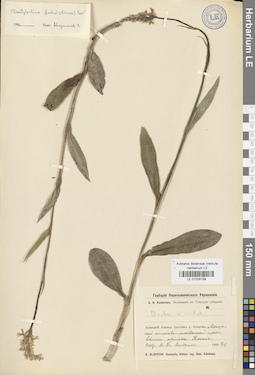LE 01028189