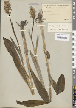 LE 01028190