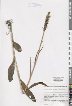 LE 01028193