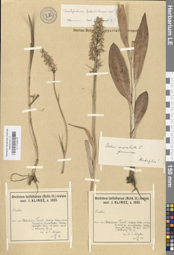 LE 01028197