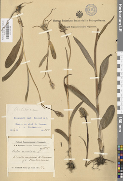 LE 01028198