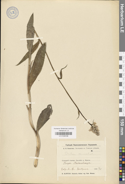 LE 01028199