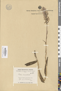 LE 01028261