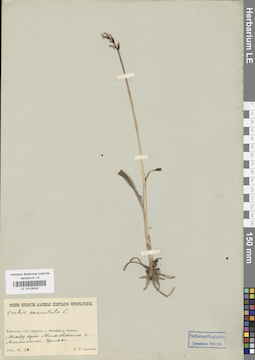 LE 01028262