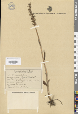 LE 01028263