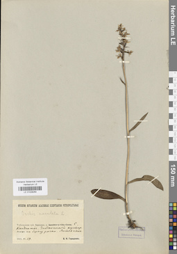LE 01028264