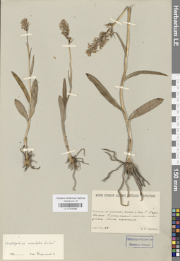 LE 01028266